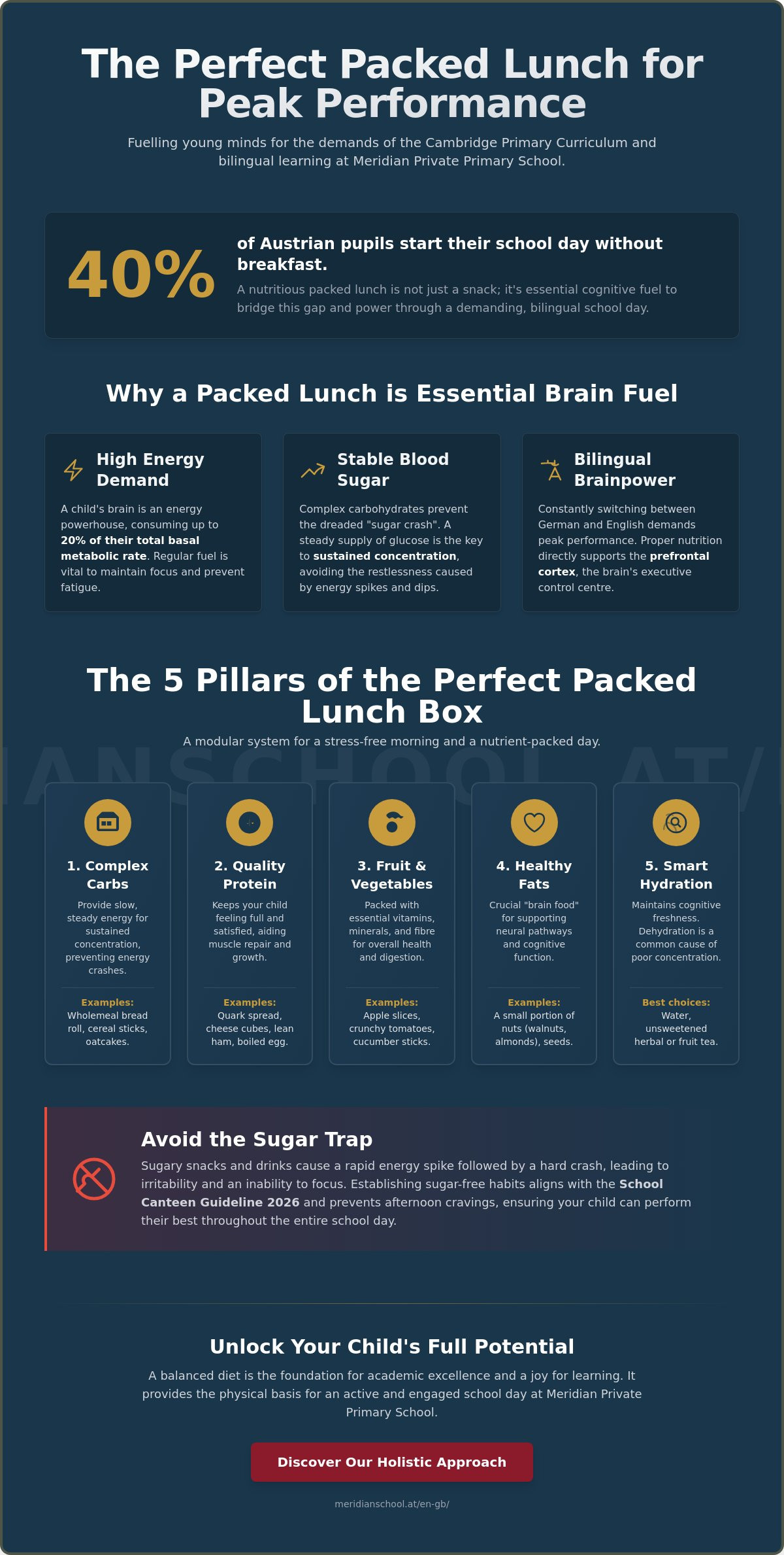 Healthy Packed Lunches for School: The Ultimate Guide for Viennese Parents 2026